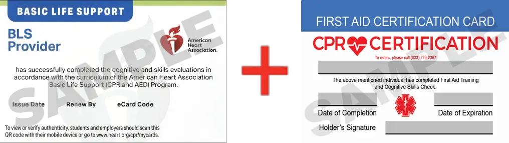 Sample American Heart Association AHA BLS CPR Card Certification and First Aid Certification Card from CPR Certification Rock Hill