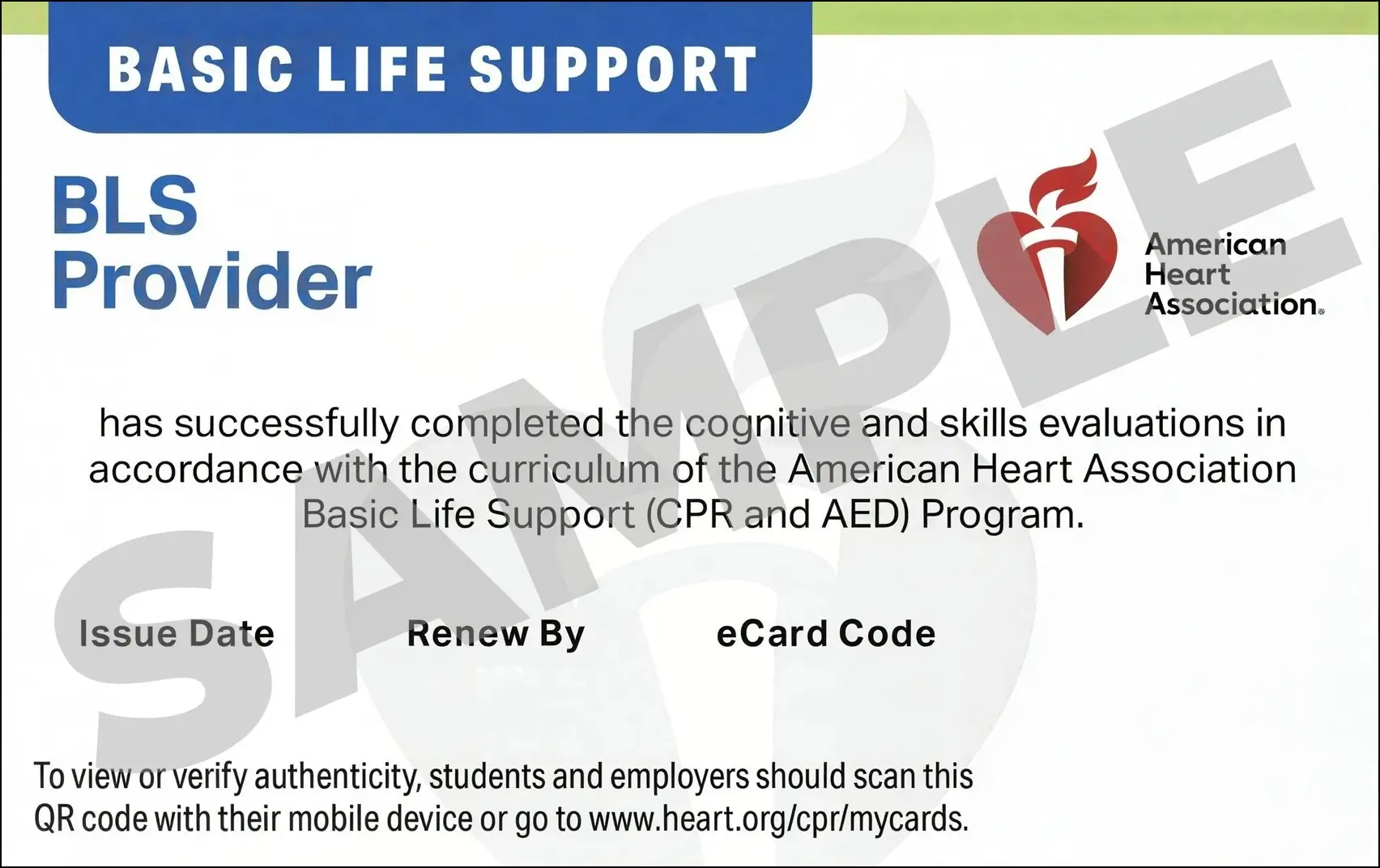 Sample American Heart Association AHA BLS CPR Card Certification from CPR Certification Rock Hill